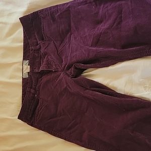 JCrew Bootcut, Purple Corduroy pants